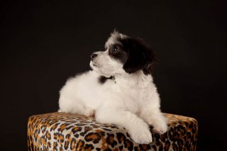090623-zoeyabby-0338