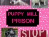 puppymillprison
