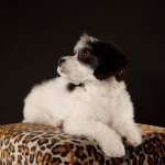 090623-zoeyabby-0338