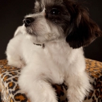 090623-zoeyabby-0352
