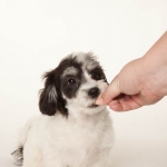 Mmmmm, treats!