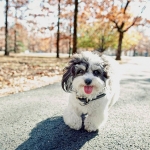 zoey2
