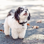 zoey3