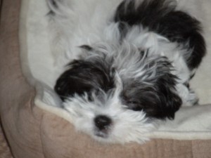 ZZZZZZzzzzzz