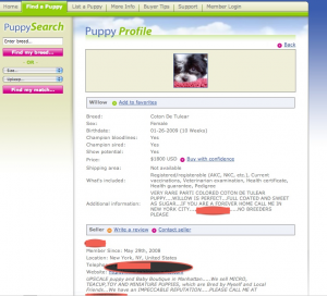 Zoey 4 Sale!