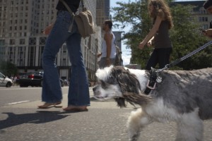 In NYC