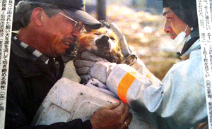Animal Rescue