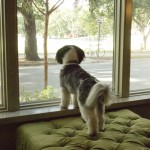 abby_DSC5613
